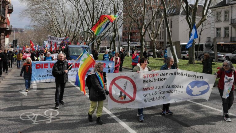Dokumentation zur Demo am 29.3.25 in Wiesbaden